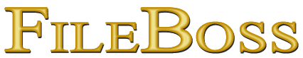 FileBoss logo text