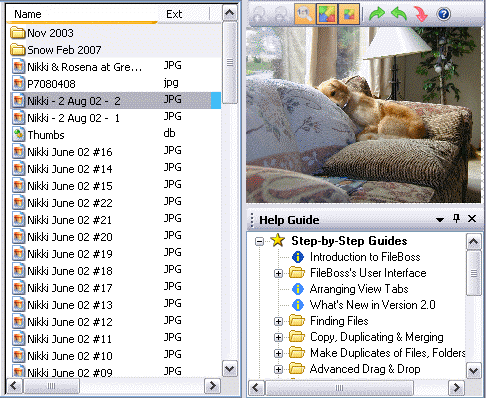 Docked image viewer